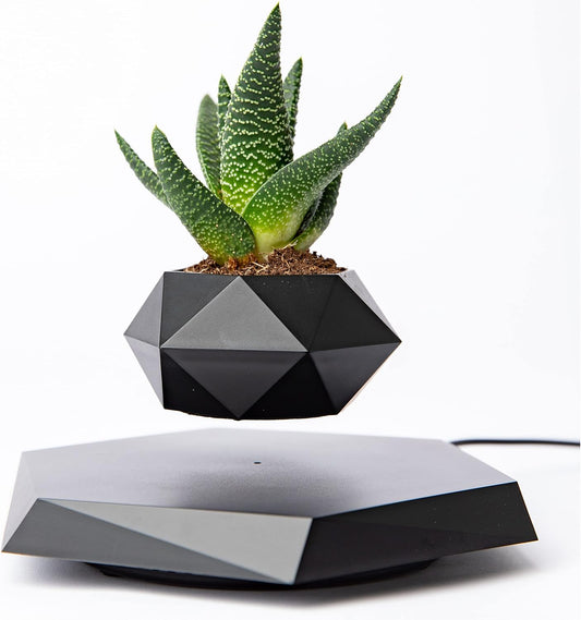 Floating Elegance: Magnetic Levitating Planter